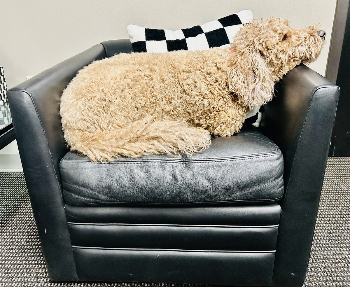 ๐ Chris Blair ๐ (@chrisblair4b) on Twitter photo He didnโt like the fact that I was rearranging stuff in my office this evening so <a href="/GatewayStanley/">Gateway Stanley</a> made an attempt at getting comfortable in the <a href="/WWTRaceway/">WWT Raceway</a> lobby. He still hates late Fridays. He didnโt like the fact that I was rearranging stuff in my office this evening so <a href="/GatewayStanley/">Gateway Stanley</a> made an attempt at getting comfortable in the <a href="/WWTRaceway/">WWT Raceway</a> lobby. He still hates late Fridays.