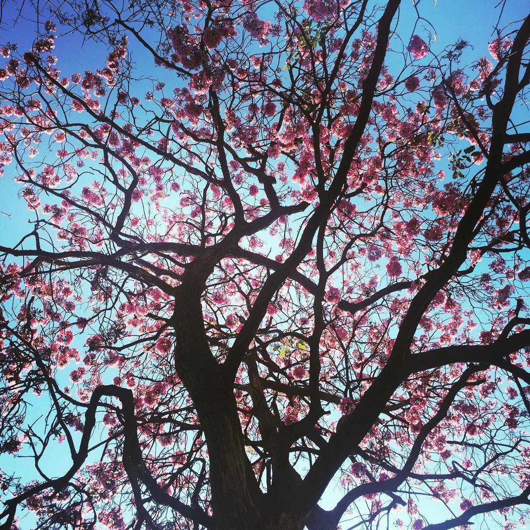 Yosh_G's tweet image. Ya estamos en esa época en la que ciudad Guatemala se ve así: