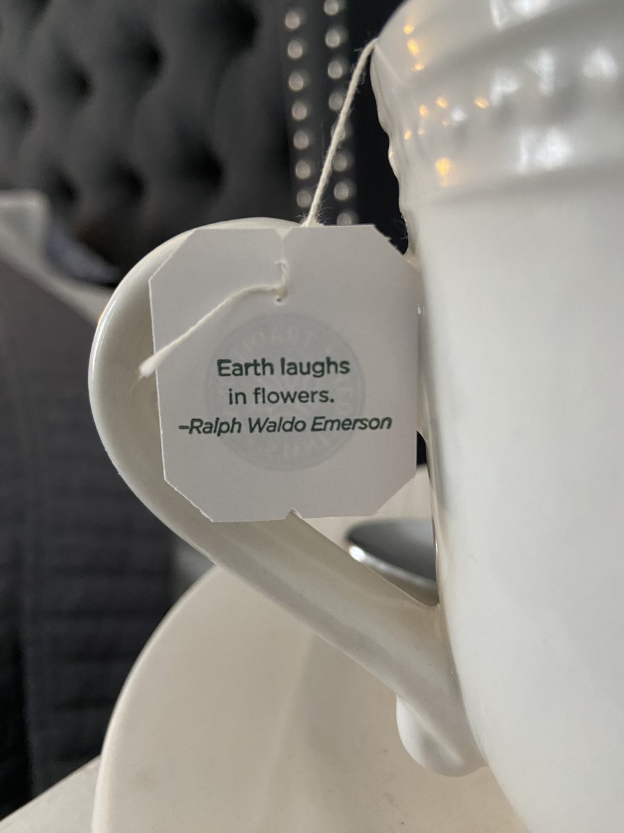 DaniInGeneral's tweet image. Spring is calling 🌱🫖🌼