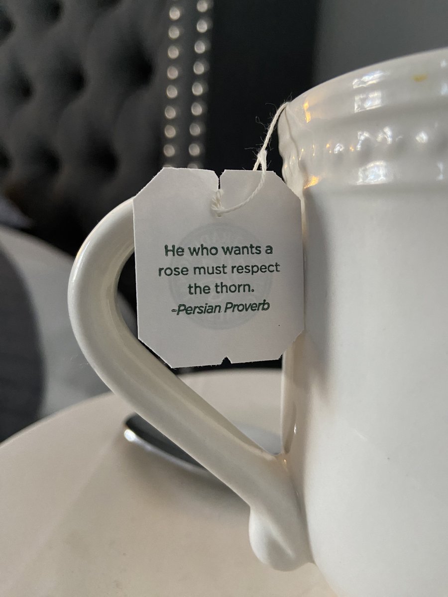 DaniInGeneral's tweet image. Spring is calling 🌱🫖🌼