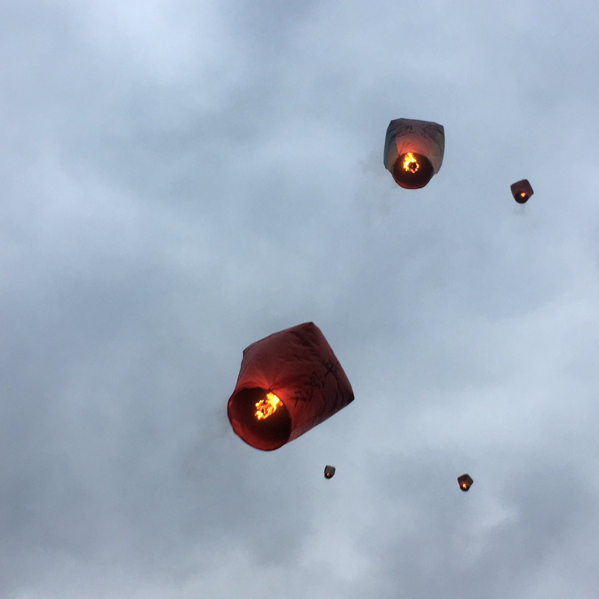 다시 🇹🇼대만 가고싶다🥹