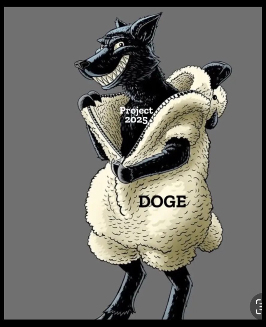 Anson MacLauchlan tweet media