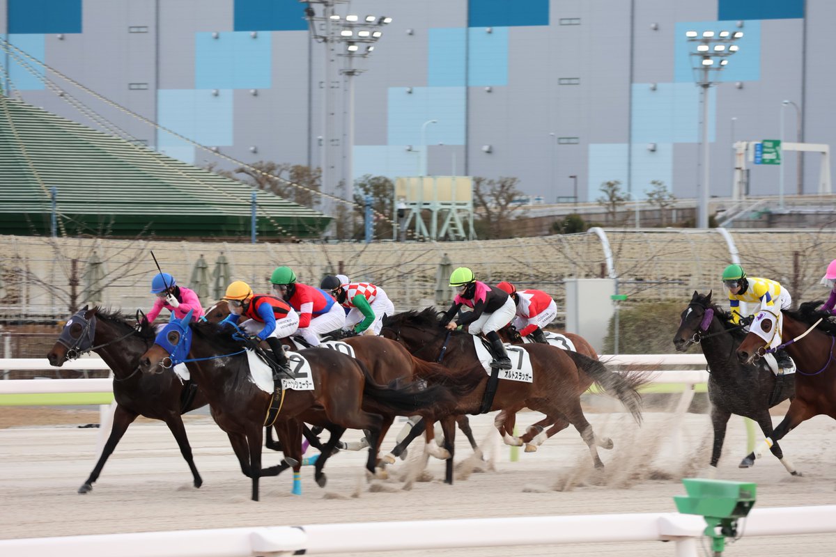 Air_1239's tweet photo. 20250221 11R
ｲﾙｳﾞｪﾝﾄ🥇
ｸﾗｳﾝｼｭｰﾀｰ🥈
ﾏｲﾈﾙｻﾌﾞﾏﾘﾝ🥉
ﾚｲﾘ🐎
#TCK
#大井競馬場 https://t.co/dREopMuiLK