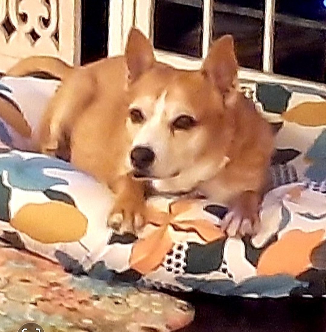 Sheriff Elton tweet media