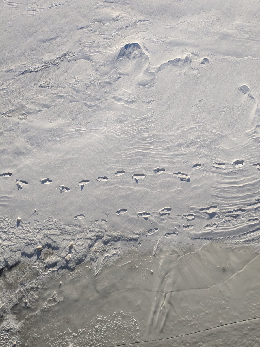 A bit of Textures and Canada for the end of the week. Cheers