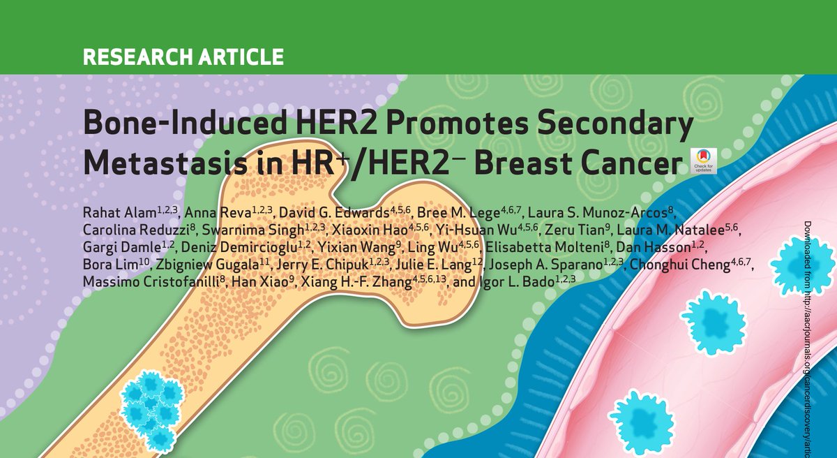 Carolina Reduzzi (@reduzzicarol) on Twitter photo Happy to have contributed to this work showing the effect of bone metastasis on #HER2 expression and secondary metastatic dissemination in HR+/HER2- metastatic #BreastCancer
Out now on <a href="/CD_AACR/">Cancer Discovery</a>!
<a href="/CtcLaboratory/">Cristofanilli CTC Laboratory</a> <a href="/WeillCornell/">Weill Cornell Medicine</a> <a href="/BadoIgor/">Igor Bado</a>
doi.org/10.1158/2159-8… Happy to have contributed to this work showing the effect of bone metastasis on #HER2 expression and secondary metastatic dissemination in HR+/HER2- metastatic #BreastCancer
Out now on <a href="/CD_AACR/">Cancer Discovery</a>!
<a href="/CtcLaboratory/">Cristofanilli CTC Laboratory</a> <a href="/WeillCornell/">Weill Cornell Medicine</a> <a href="/BadoIgor/">Igor Bado</a>
doi.org/10.1158/2159-8…