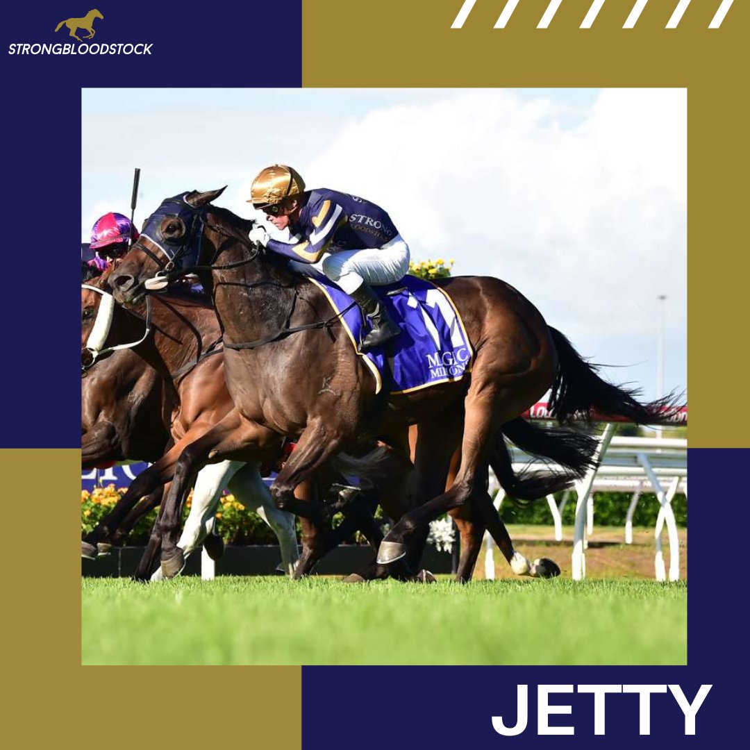 StrongBldStock's tweet photo. 🌇 We have 3 runners lining up in the city @brisracingclub

🧼 IMPERVIOUS aims to preserve her unbeaten record for trainer @tonygollan
👑 Stablemate KING KAPA bids to go one better over the track &amp; trip
✈️ JETTY lines up in the last for @munceracing

Good luck to our partners 💪 https://t.co/Rmgkf1sUrB