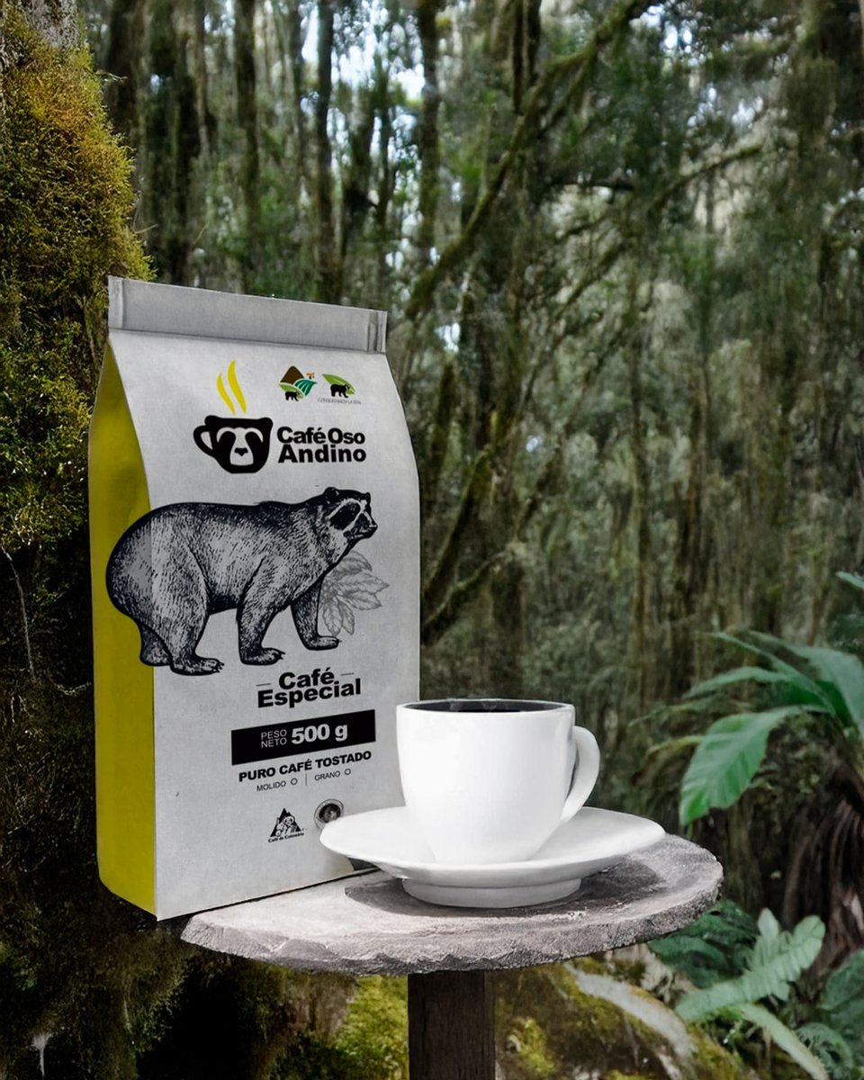 ProCAT Colombia/Intl tweet media