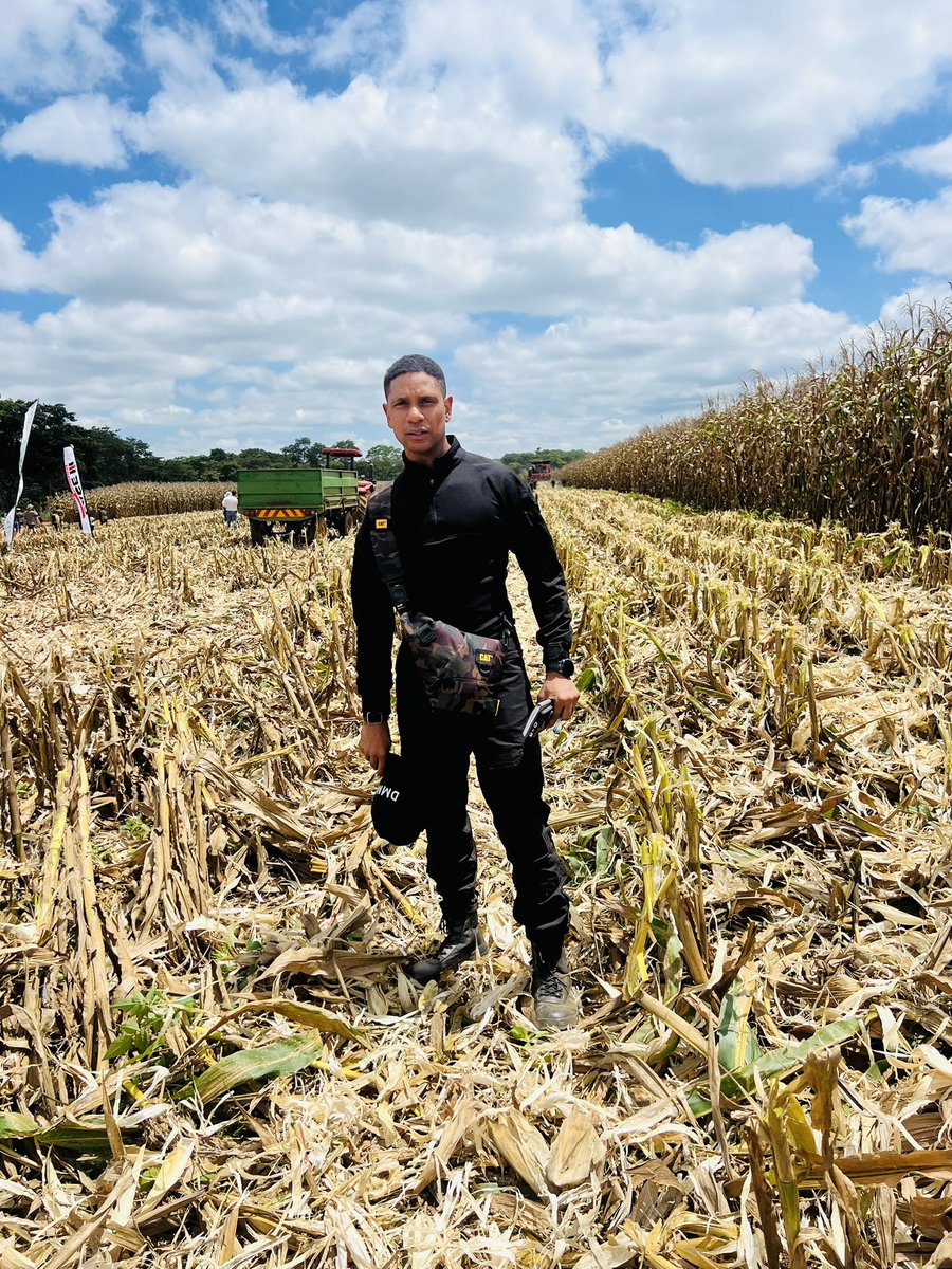 Gabriel Pollen, PhD tweet media