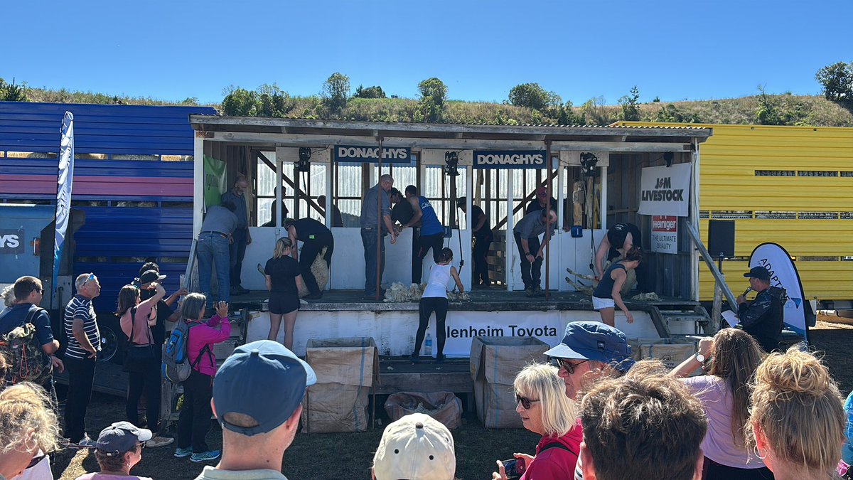 Callan fergusson tweet media