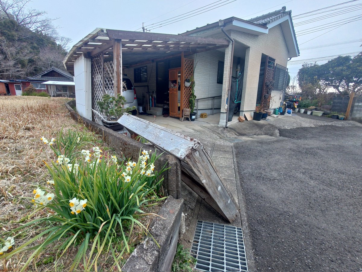 おはようは宮崎から！

毎年この、水仙が咲く時期になると青森へと向かいたくなります
八戸の蕪島神社にはウミネコさん達が集結し始めている事でしょう( ´ω`)

しかし私を待っているのは海鳥ではなく、確定申告とか言う罰ゲームなのでありました
ウミネコになりたい人生だったァ…