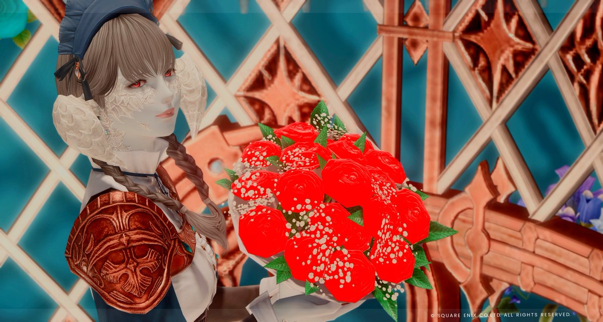 Nos_V_FF14's tweet photo. #ぷちうらんず
久々寝れなかったので朝インしてうちのこ可愛い可愛いしてきた。可愛い。 https://t.co/x3EyMmYDxw