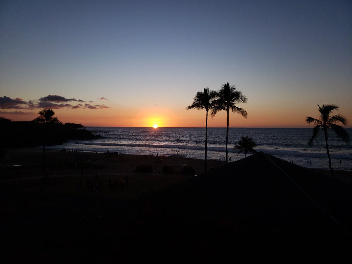 Last month, I had the amazing opportunity to travel to Hawaii for a conservation bioacoustics field course. I learned so much and had an great time recording honeycreepers and listening to the Big Island's unique ecosystems, from the volcanoes to the ocean. What a special place!