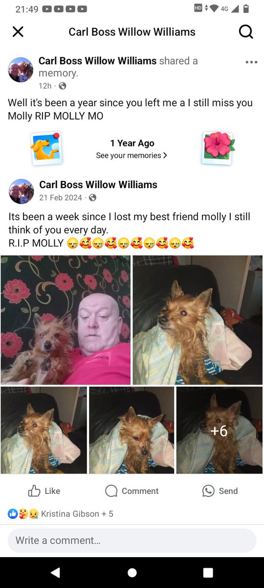 Bosswillow1 tweet picture