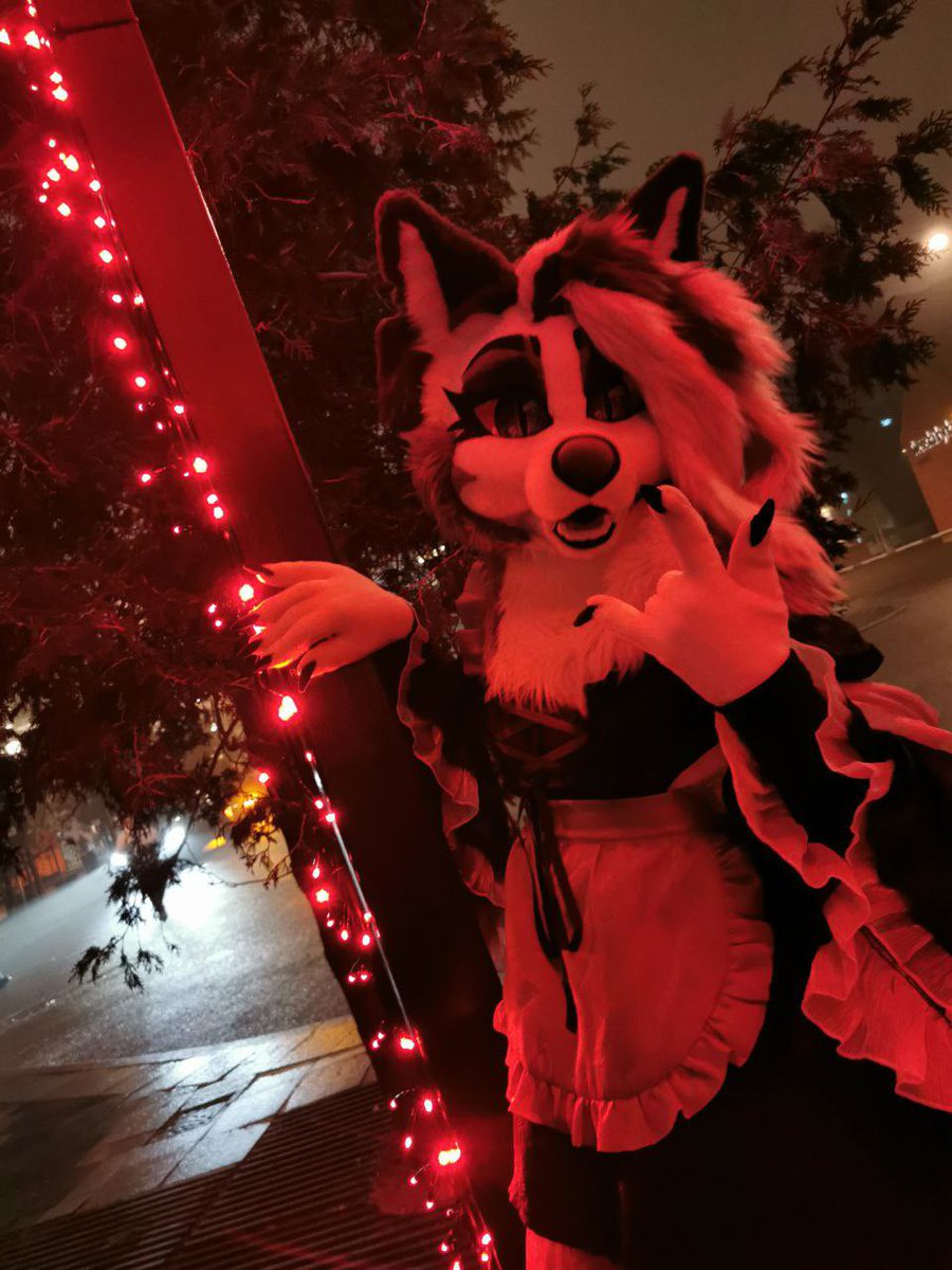 Loona 🌙 🐺 tweet media