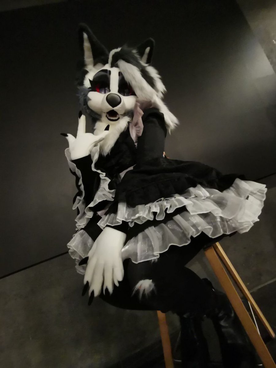 Loona 🌙 🐺 tweet media