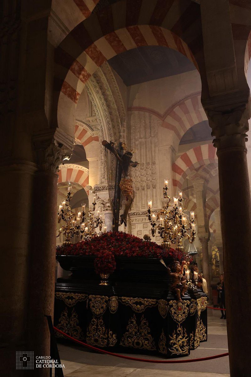 ⚫𝐀𝐂𝐓𝐔𝐀𝐋𝐈𝐃𝐀𝐃⚫️