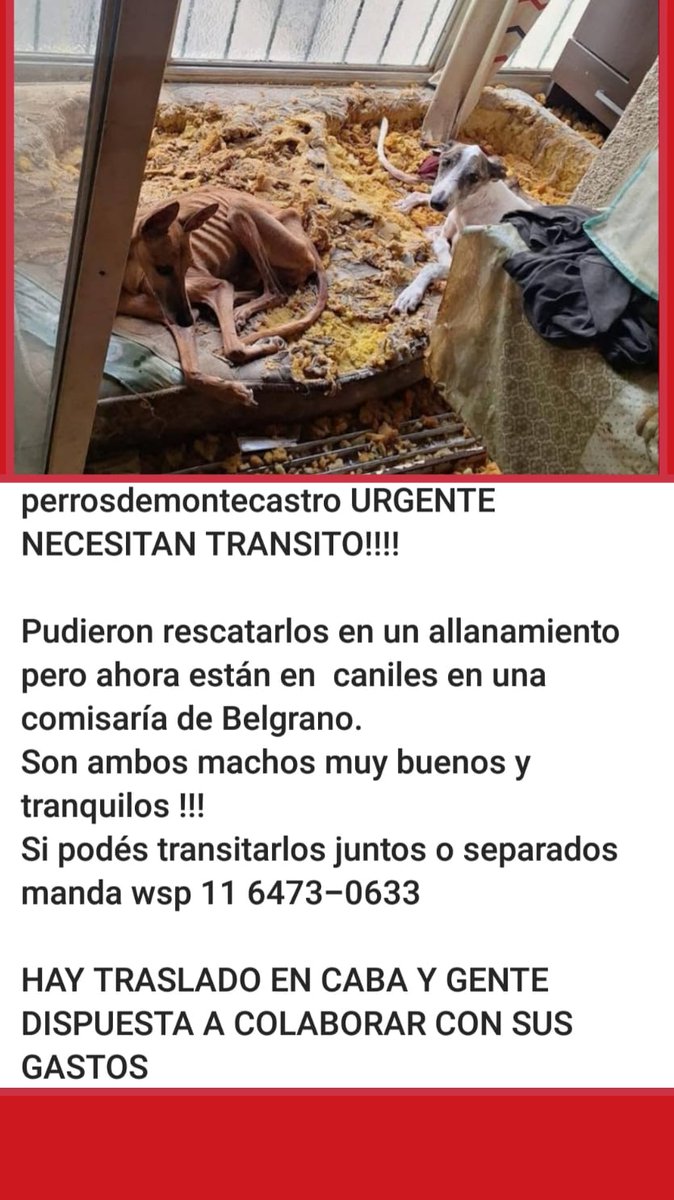 patripeyrou's tweet photo. Rt
Urgente https://t.co/guKIh5FAIc