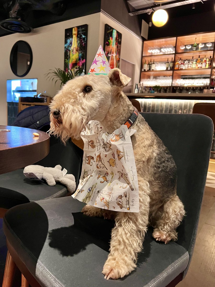 Bertie Lakeland tweet media