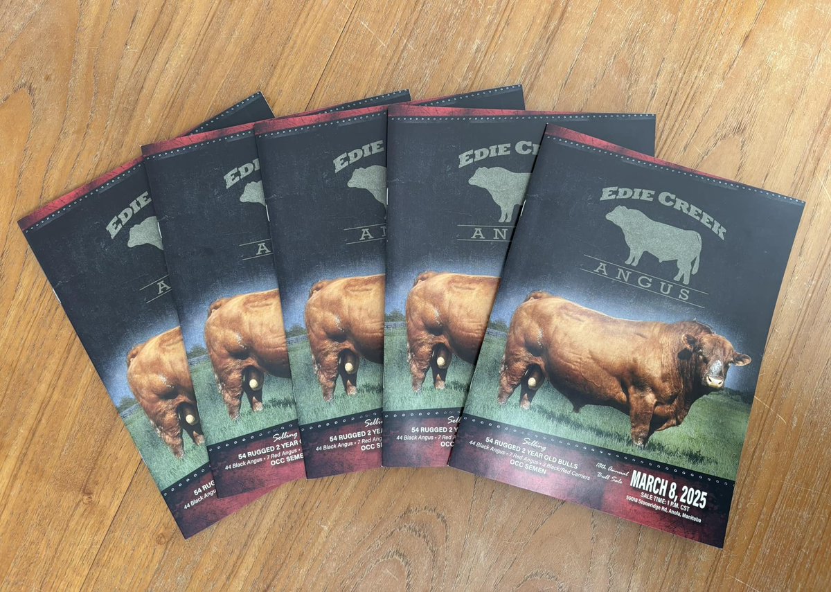 EdieCreekAngus's tweet photo. Our catalog will be hitting your mailbox next week! The sale is just over 2 weeks away!! 

Get in touch if you're not on our mailing list and you'd like to receive a hard copy... If you can't wait for it, the digital version is available on our website...

https://t.co/fIPR4EZOec

If you've received our catalog before, don't worry, it will be coming again.  If you're new to our program, and are interested in making improvements to your cowherd that will allow you to be profitable beyond the peak of the cattle market, reach out and get in touch or check out our website to learn more!