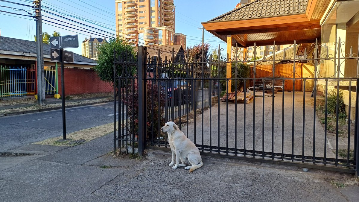 El Ciudadano tweet media