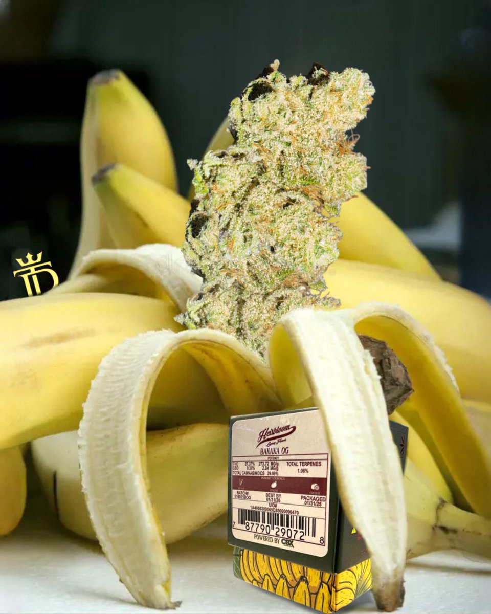 TheReserveSd's tweet photo. Banana OG from Heirbloom powered by @cannabiotix https://t.co/UwfAQ7f1zQ