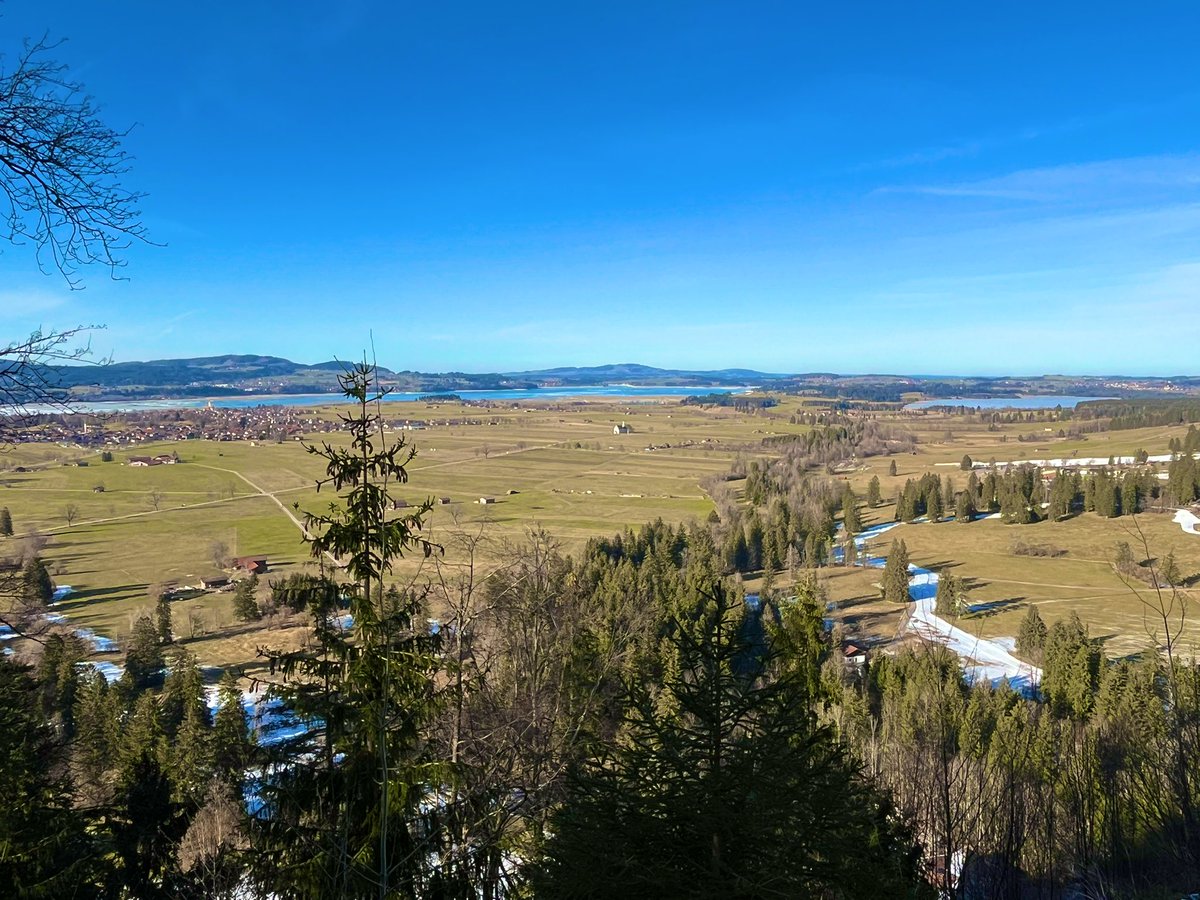 Taylor Blanton tweet media