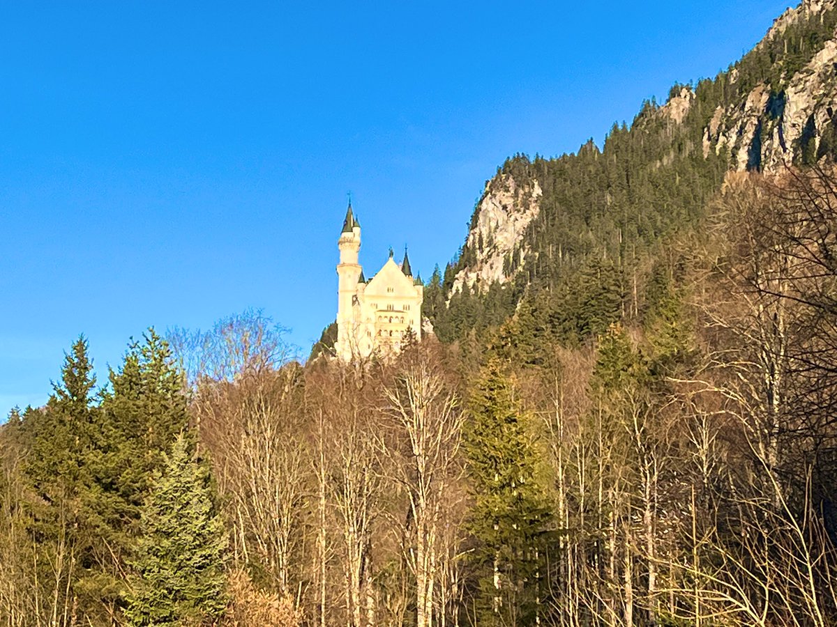 Taylor Blanton tweet media