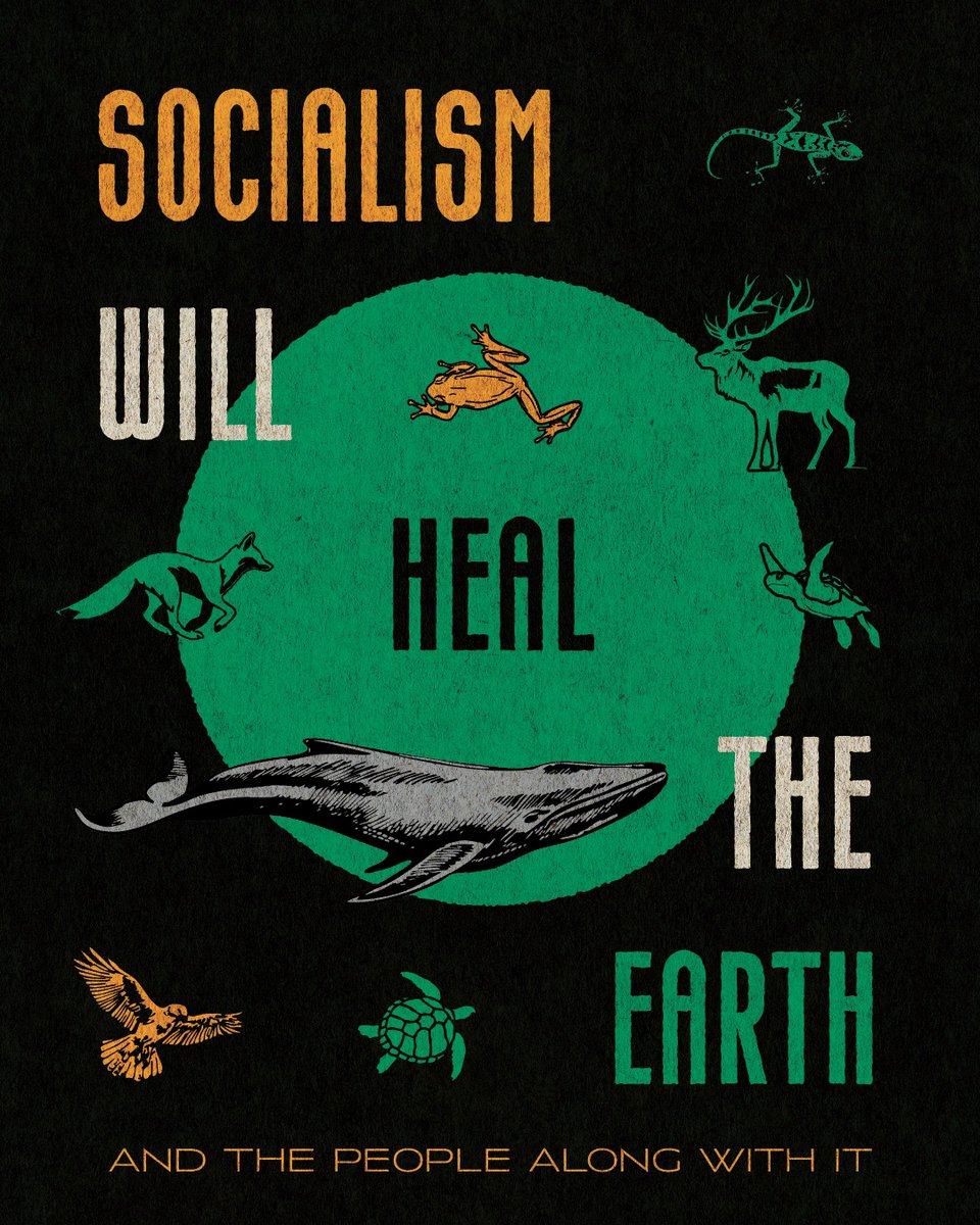 This is my whole thing in two images.