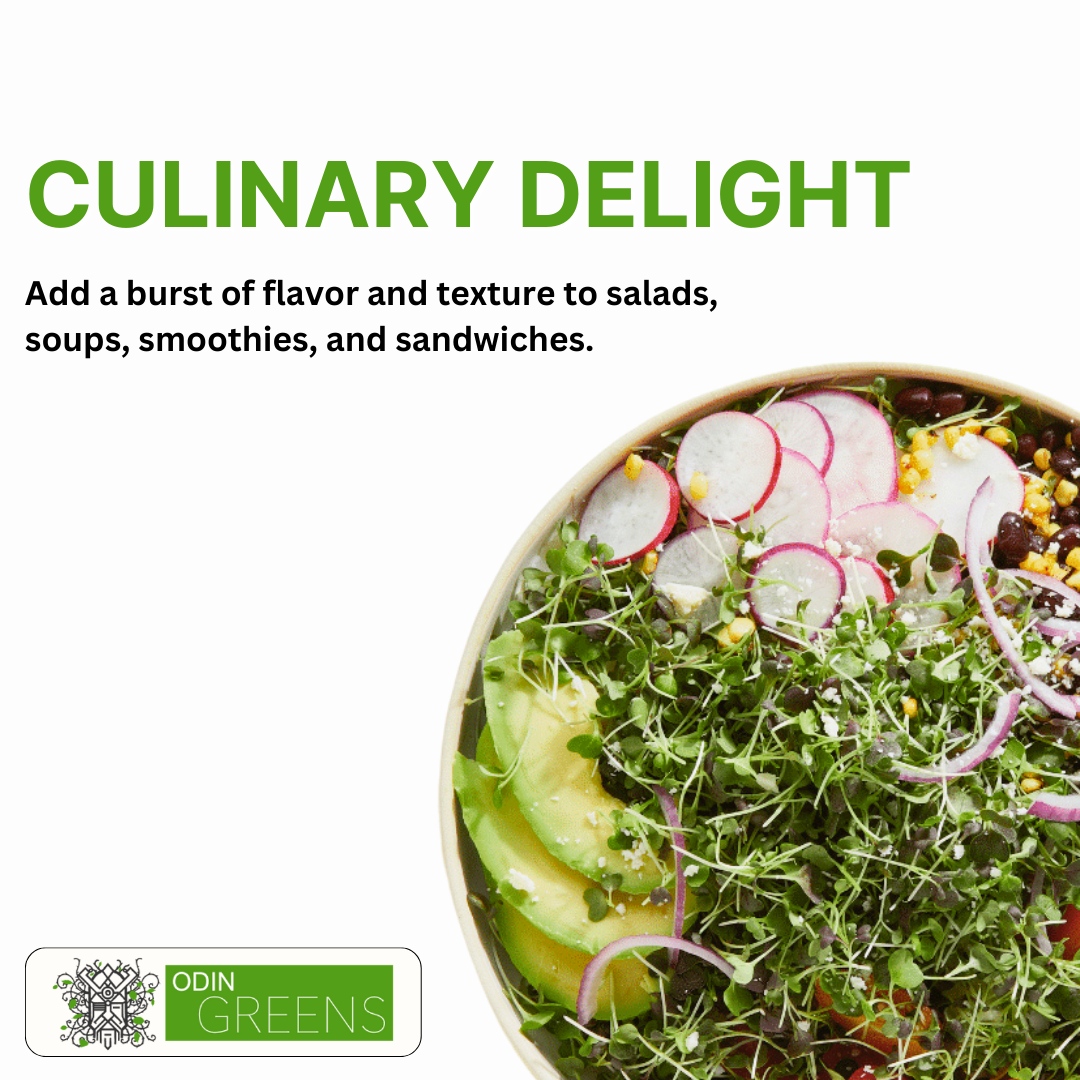 odingreens's tweet photo. Microgreens bring a burst of fresh flavor and texture to salads, soups, smoothies, and sandwiches. Get creative in the kitchen and elevate your meals with these vibrant greens! 

Order fresh microgreens and start cooking today! https://t.co/4qGhLVDbGV
