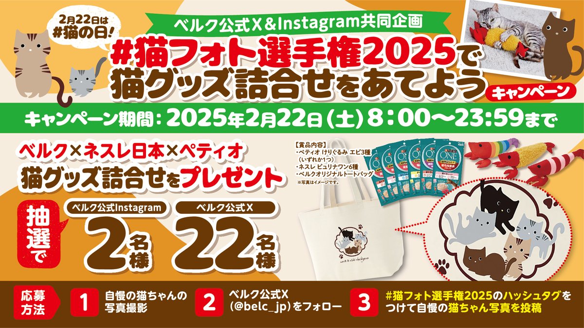 本日(2/22)23時59分まで】本アカウントをフォローのうえ、本投稿に #猫