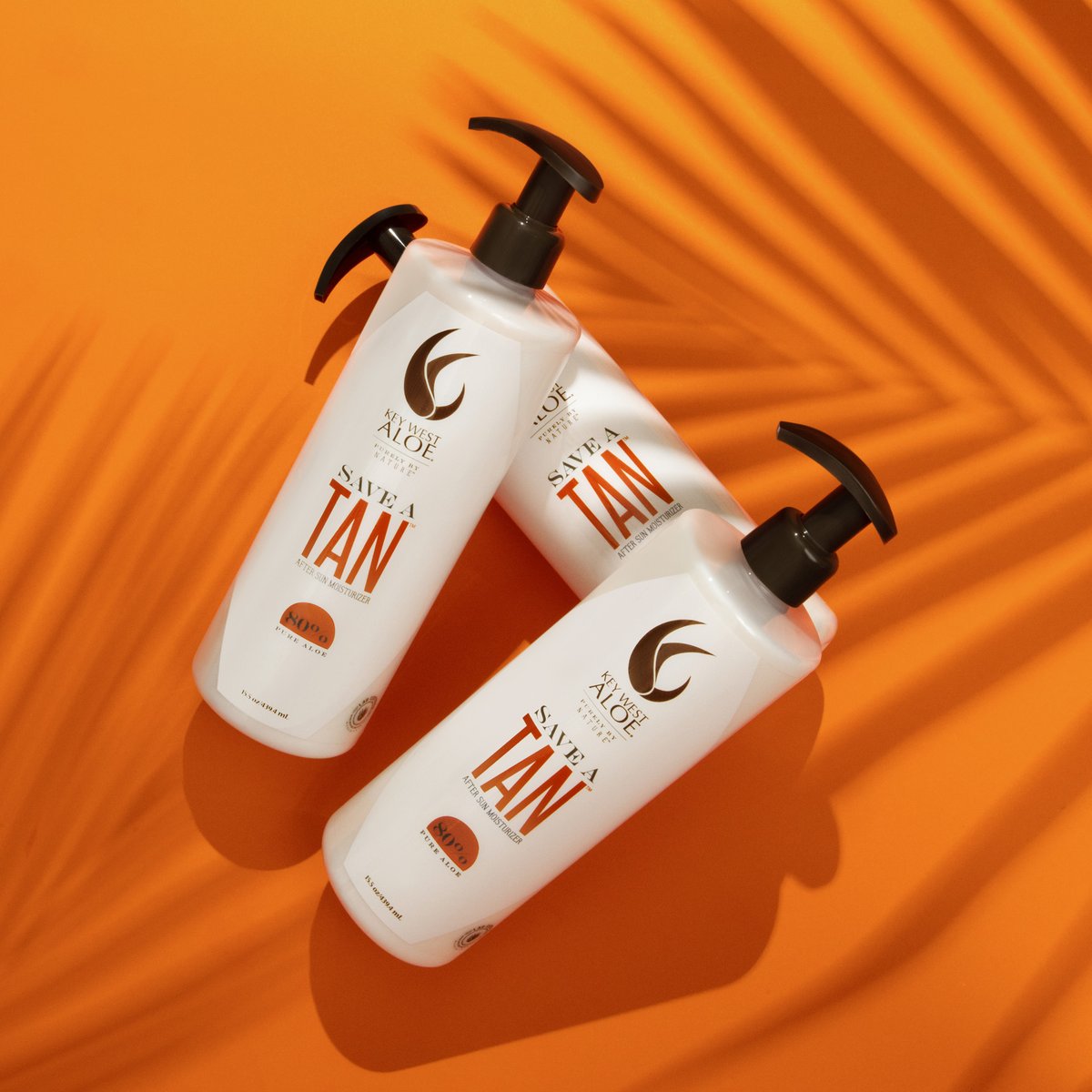 Key West Aloe tweet media