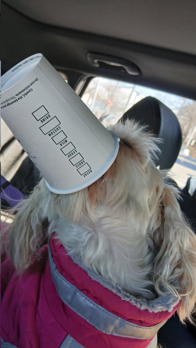 Inkonic1's tweet photo. Her first pup cup. I think she likes it. https://t.co/qzztdqBrDG