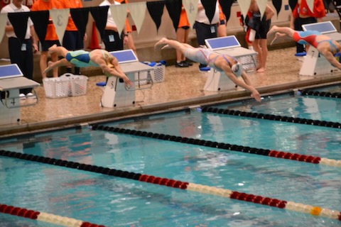 One last splash as a Bulldog for Sr. Kaitlyn Casalinova! Kaitlyn is the first female swimmer to qualify for the state meet in over 15 years. Her strong finish this season includes resetting her own 50FR record with a 24.26 and finishing 26th overall in the 50FR at OHSAA DI States