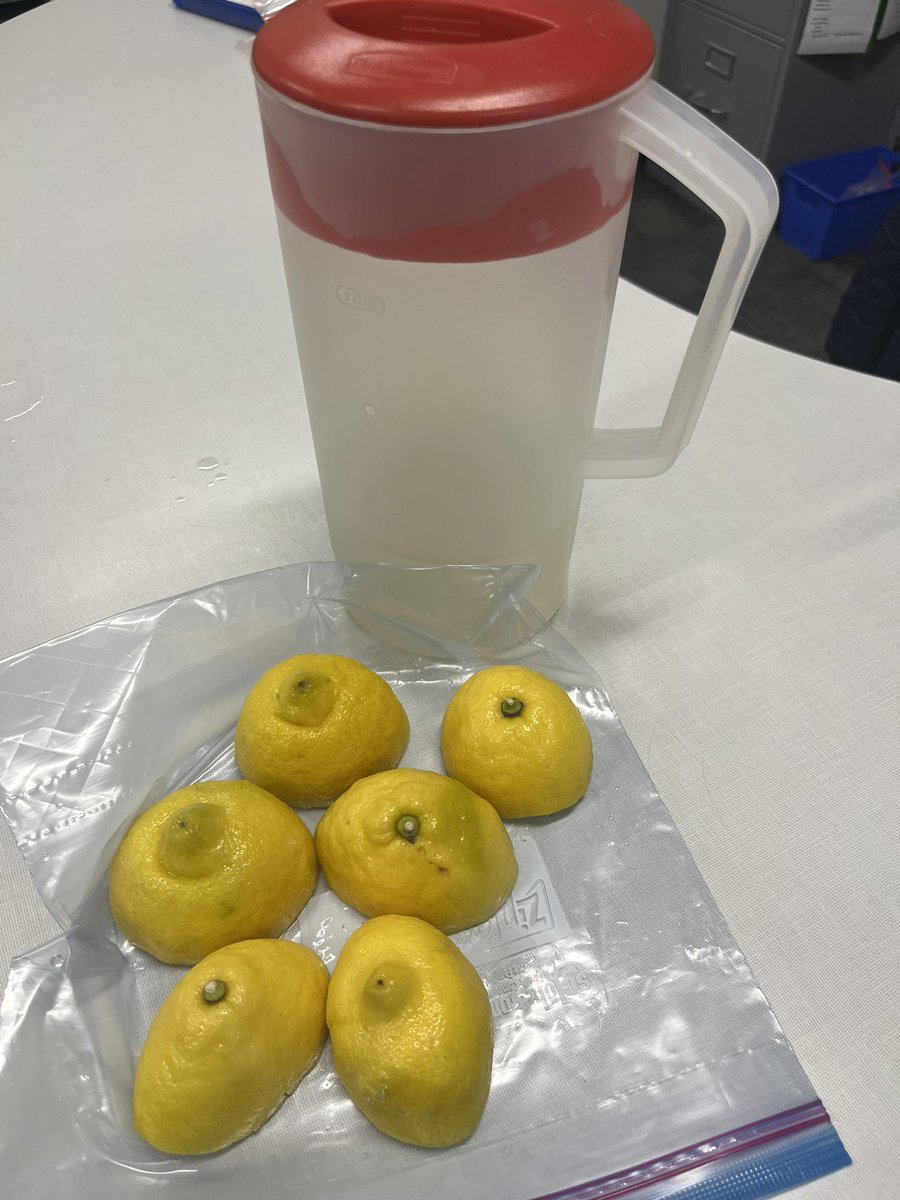 Vanessa Codd tweet media