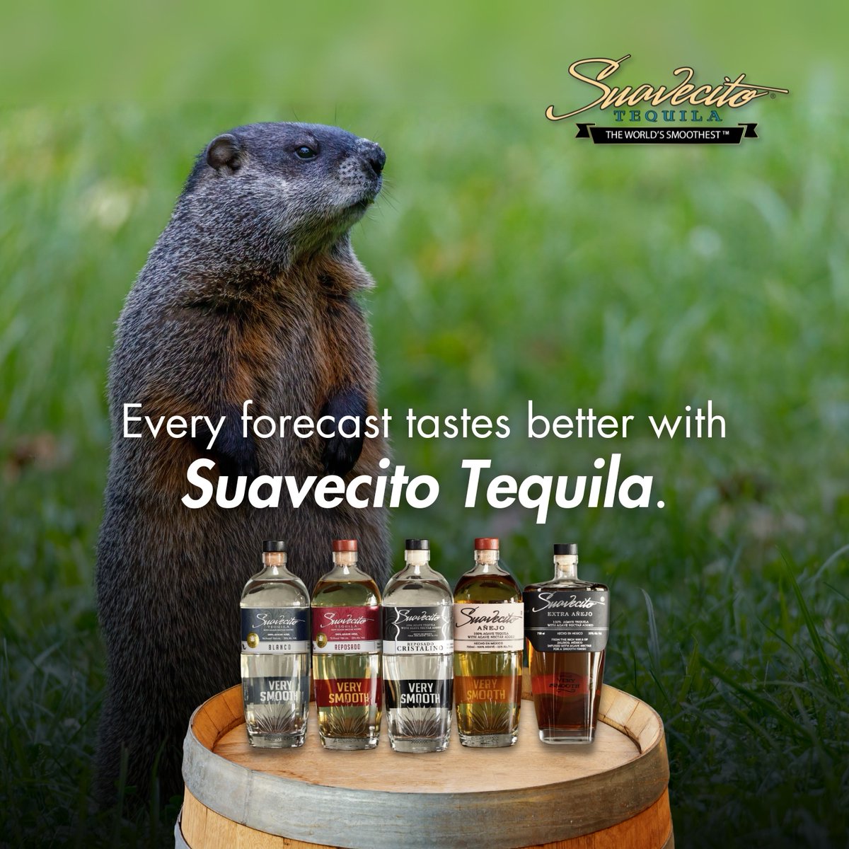 SmoothSuavecito's tweet photo. 🌥️ or ☀️? No matter what the #groundhog predicts, we've got just the thing to celebrate with! Whether it's six more weeks of winter or an early spring, every forecast tastes better with #SuavecitoTequila. Cheers to whatever comes our way!
https://t.co/ZuzQlPmJNR

#Tequila https://t.co/8nIz90n7Qf