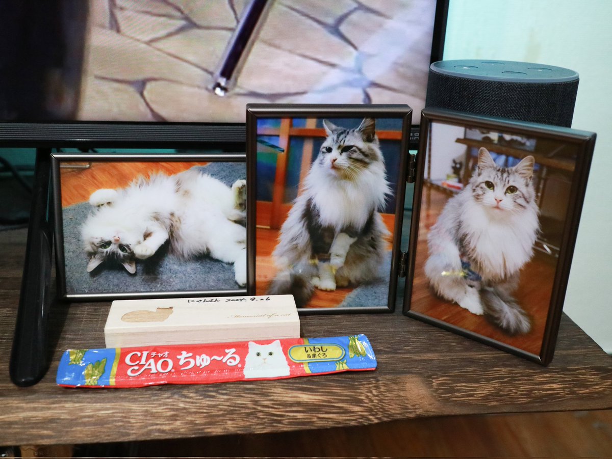 にゃんさん にゃんさん