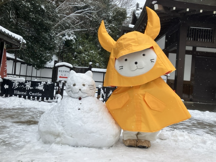 ぴこたん 今日は2月22日、ネコの日です😻 彦根城🏯に特別住民票を持つひこにゃん