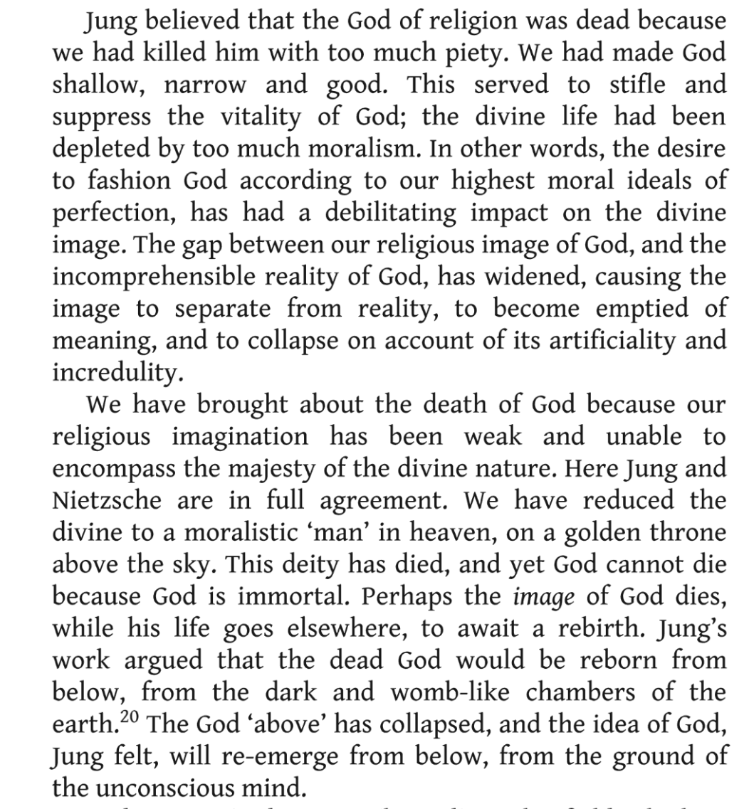 SophiaCycles's tweet photo. David Tacey, How to Read Jung. https://t.co/I5M8YanLFq