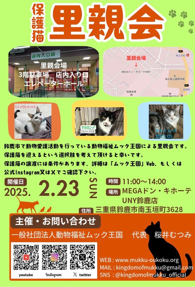 yasuke_3hon's tweet photo. おはようございます☀告知でーす
明日、2月23日 日曜日　鈴鹿市の
MEGAドンキホーテで里親会開催しまーす🐱
約20匹の保護猫が参加予定！
よろしくお願いします
#拡散希望 #猫 #保護猫 #里親募集 #三重県 #鈴鹿市 https://t.co/7IWtjyskvV