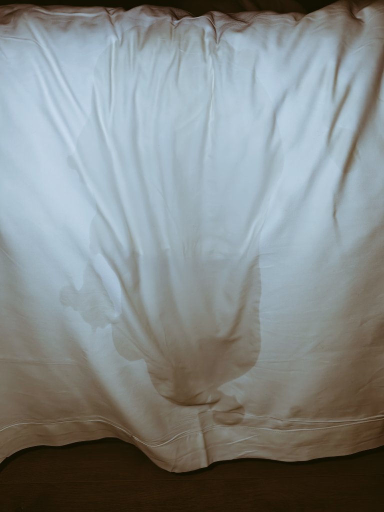 东北小狼狗拾玖🍆(4.9-4.18BKK) tweet media