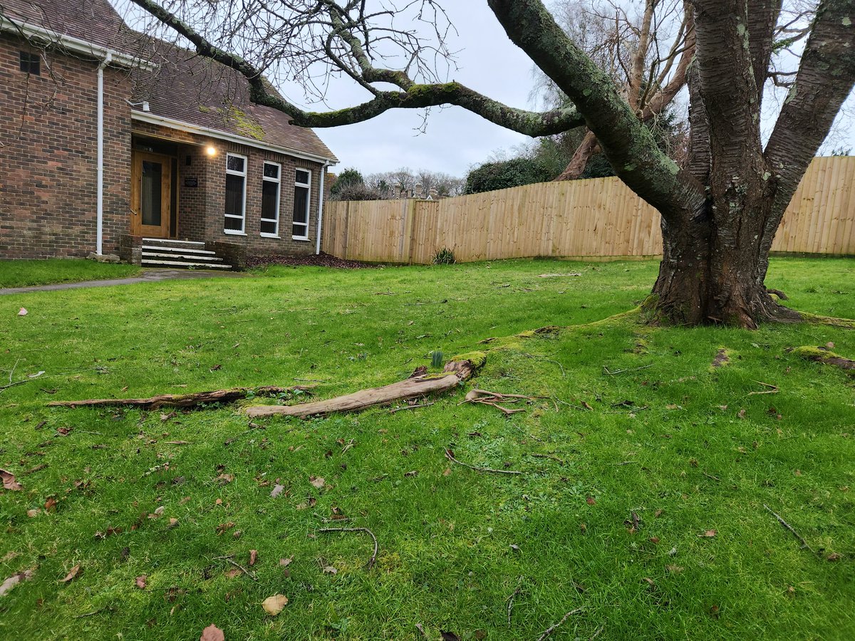 Beaulieu Village Hall Show. Future of Beaulieu &amp; New Forest Fayre. Sun 16th March 10-4pm
beaulieuvillagehall.org.uk/the-future-of-…