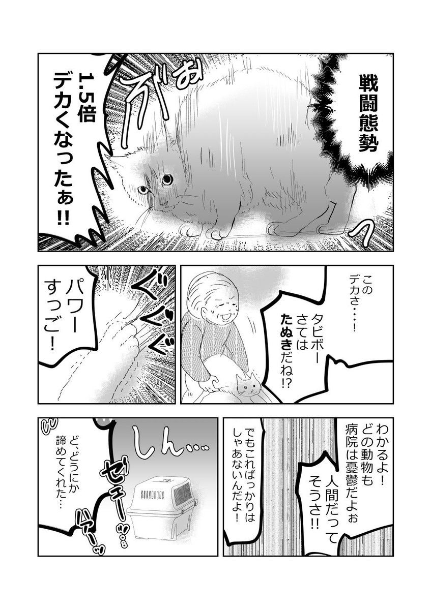 ばあさまと…ネコ…👵🐈2/3 