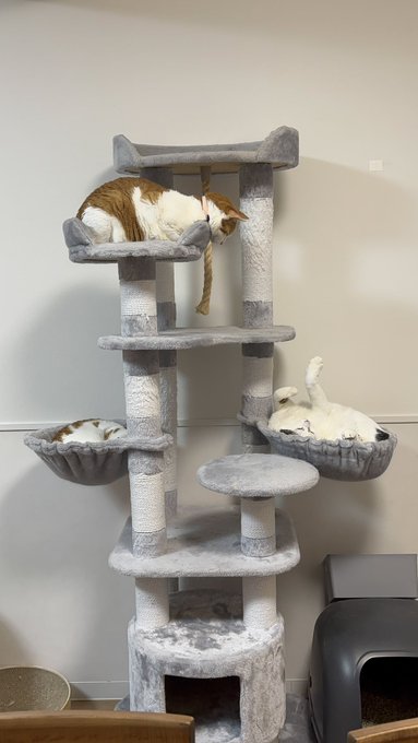 Twitterのコスプレ画像49