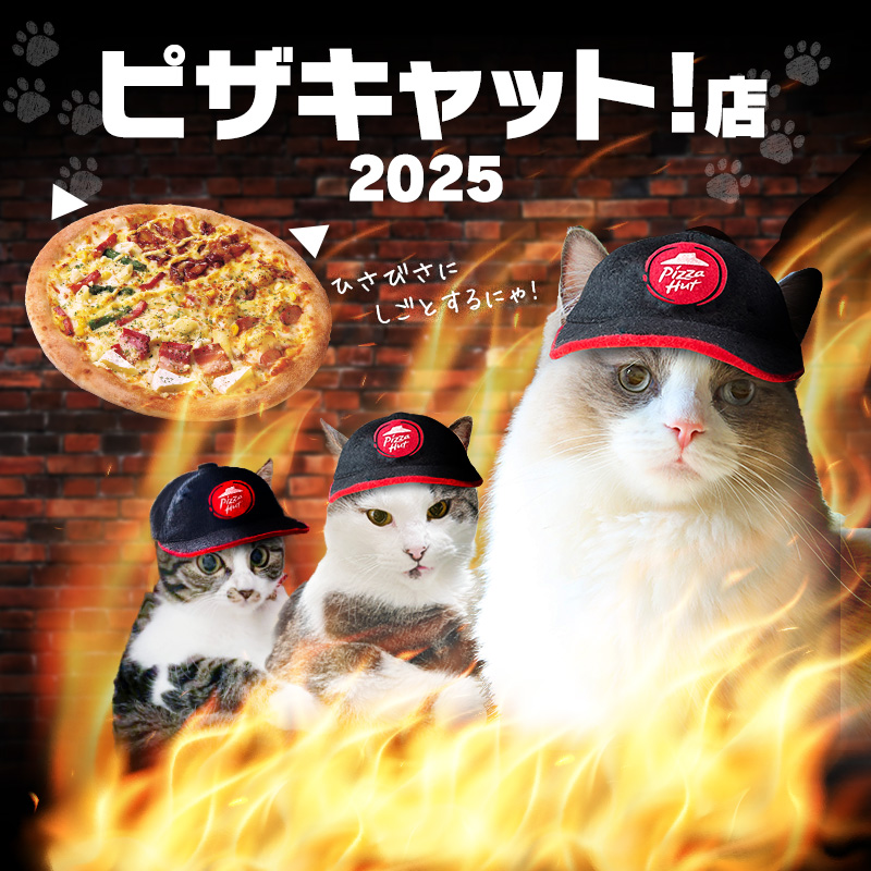 にゃびっと　です！(*ˊᵕˋ*) 本日 #猫の日 ／ 今日はピザキャットが ピザハット公式Xを運営するにゃ