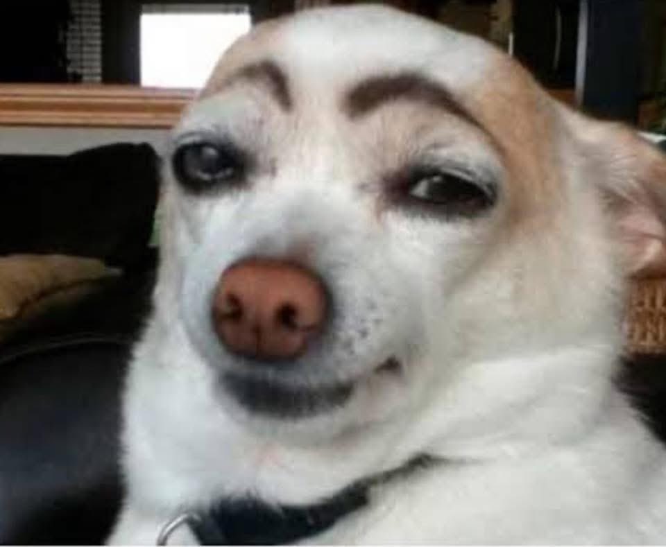 Nadie… Ángela Aguilar