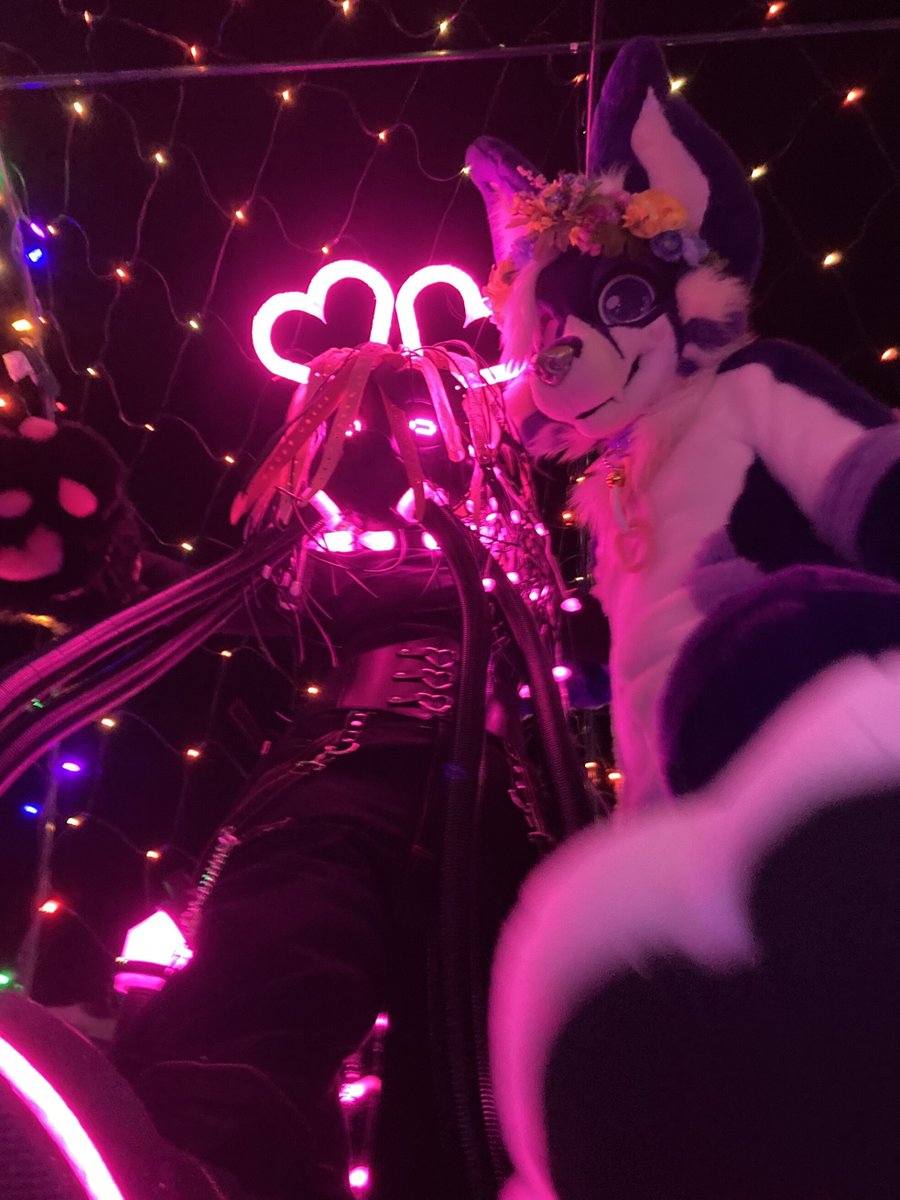 Dijit π the Petal Princess πΈ (@secfurry) on Twitter photo Me and <a href="/Snailnat_/">Saffron the Axolotl</a> deciding your fate.. π
You have chosen death π π
#FursuitFriday #furry #furries #fursuit
πΈ <a href="/BuffDuckk/">Mark Duckerburg</a> Me and <a href="/Snailnat_/">Saffron the Axolotl</a> deciding your fate.. π
You have chosen death π π
#FursuitFriday #furry #furries #fursuit
πΈ <a href="/BuffDuckk/">Mark Duckerburg</a>