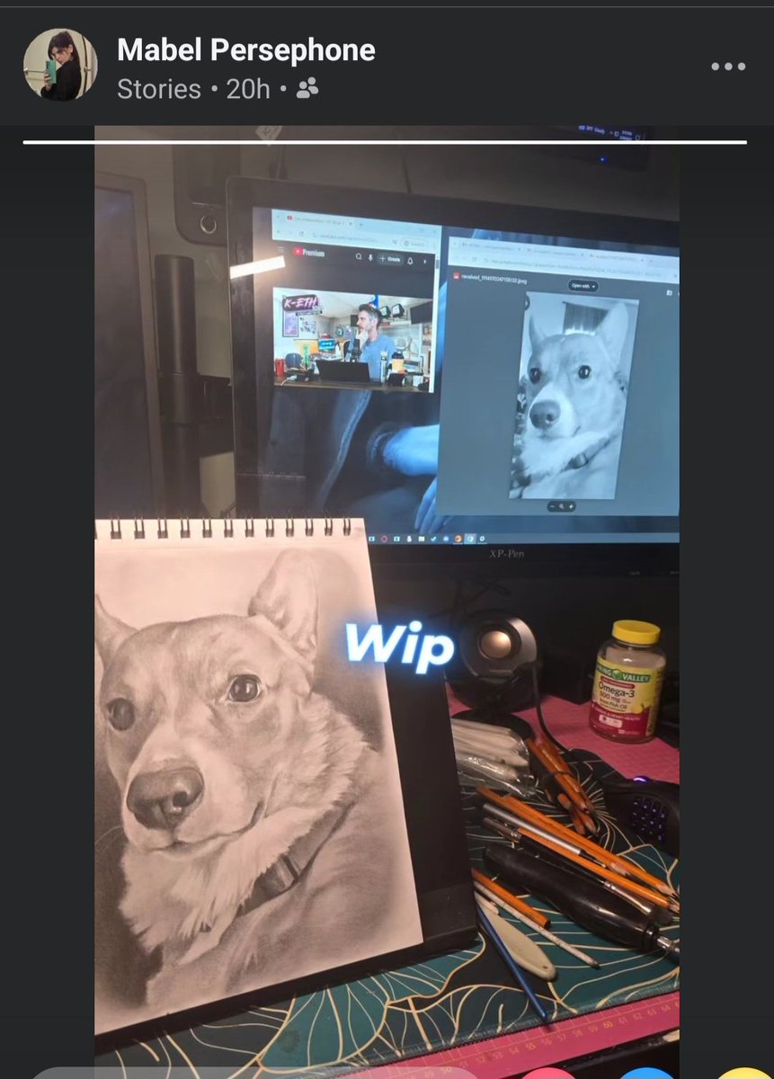 Our dog Fry passed away Tuesday night after a short battle with cancer. To say we are devastated would be a massive understatement. <a href="/KidneysXplode/">kidneys (commissions open)</a> however is creating a portrait to help us remember him forever. She's an incredible artist.