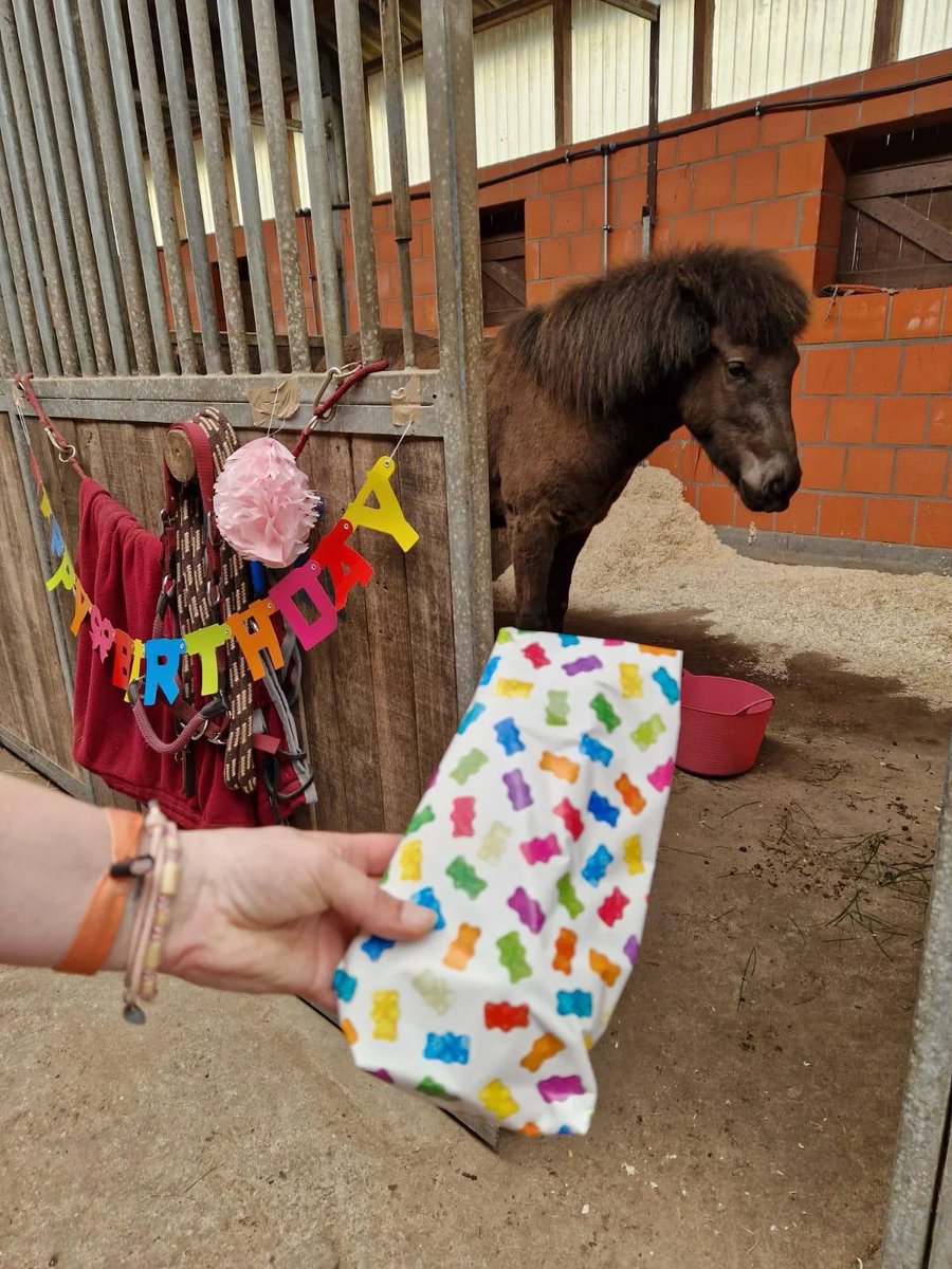 horseimage's tweet photo. horse ignoring birthday gift and celebrations sad and depressed on special day https://t.co/YUIv8TFgr5