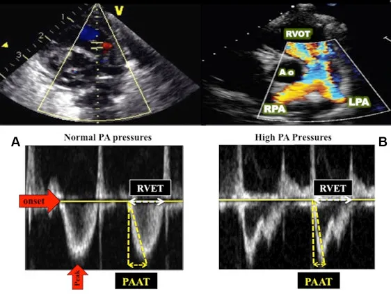 Ritika Tuli tweet media